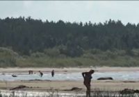 VIDEO: īstas šausmas Ainažos … Jūrā iepūš sēdošu bērniņu uz pūšļa un noslīkst
