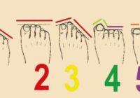Lūk, ko tavu kāju pirkstu forma liecina par tavu raksturu un patieso dabu – salīdzini un redzēsi cik patiesi