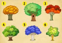Izvēlies koku un uzzini, kādas izmaiņas notiks tavā rāmajā dzīvē. Testa efektivitāte – 78%