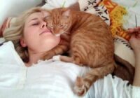 Kāpēc kaķim patīk gulēt uz cilvēka un par ko tas liecina