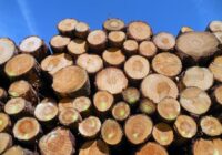 Tramps nosaka tarifus mēbelēm, kokmateriāliem un zāģmateriāliem